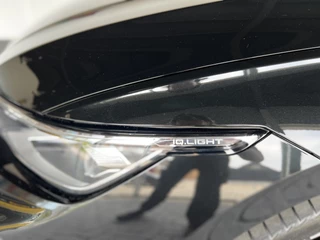 Volkswagen Golf Volkswagen Golf 1.5 eTSI Edition 50 / Panoramadak / HUD / ACC / Matrix LED - afbeelding nr 27