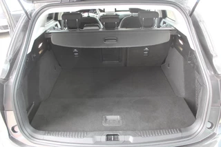 Ford Focus Ford Focus Wagon 1.0 EcoBoost Hybrid Titanium Style | Winter Pack | Camera | Navigatie | Cruise control | Privacy glass | NIEUW MODEL - afbeelding nr 28