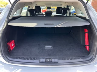 Ford Focus - afbeelding nr 10