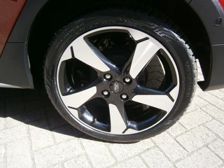 Ford Fiesta Ford Fiesta 1.0 EB Active X-Pack, Winter-Pack, Driver Ass. Pack - afbeelding nr 8