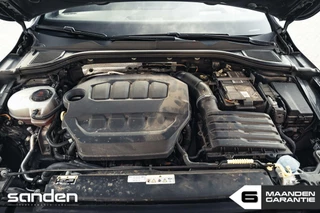 Volkswagen Golf Volkswagen Golf 2.0 GTI clubsport edition 45|PANO|Akrapovic - afbeelding nr 97