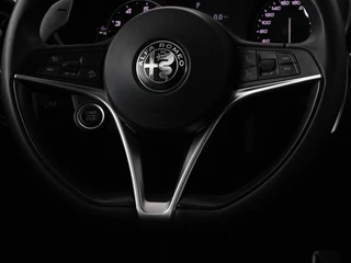 Alfa Romeo Stelvio Alfa Romeo Stelvio 2.0 T Q4 Super | Camera | Sportstoelen | Xenon |  Navigatie | Elektrische achterklep | Cruise control - afbeelding nr 9