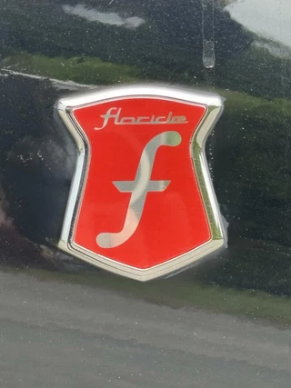Renault Mégane Renault Mégane CC 1.2 TCe Floride (Uniek  #118/1200 ) - afbeelding nr 33