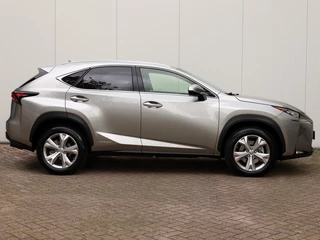 Lexus NX - afbeelding nr 6