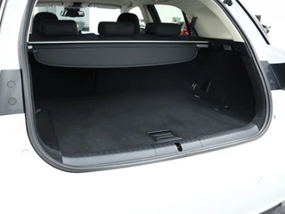 Lexus CT - afbeelding nr 19
