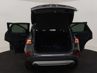 Ford Kuga - afbeelding nr 13