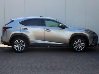 Lexus NX Lexus NX 300h AWD Luxury Line | Schuifdak | Safety Pack | Premium Audio - afbeelding nr 6