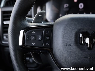 Dodge Ram Pick-Up - afbeelding nr 35