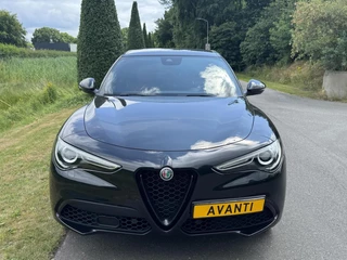 Alfa Romeo Stelvio Alfa Romeo Stelvio 2.0 T Q4 Veloce my21!!, 62dkm, 20 inch Q - afbeelding nr 3