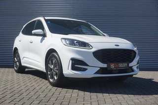 Ford Kuga - afbeelding nr 7