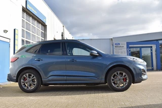 Ford Kuga - afbeelding nr 4