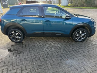 Citroën C4 Cactus - afbeelding nr 7