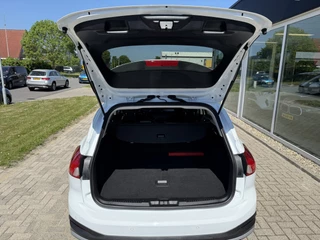 Ford Focus Ford Focus Wagon 1.0 EcoBoost Titanium X Business Cruise - afbeelding nr 14
