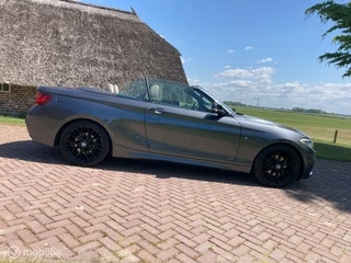 BMW 2 Serie BMW 2-serie Cabrio 220i M Sport Automaat HET DAK MAG ERAF ! - afbeelding nr 2