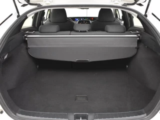 Toyota Prius - afbeelding nr 13