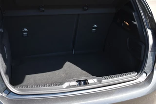 Ford Focus - afbeelding nr 8