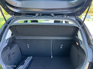 Ford Fiesta Ford Fiesta 1.0 EcoBoost Connected - afbeelding nr 10