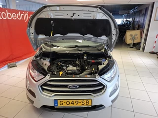 Ford EcoSport - afbeelding nr 13