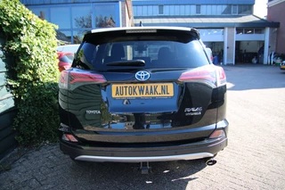 Toyota RAV4 - afbeelding nr 5
