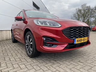 Ford Kuga - afbeelding nr 7