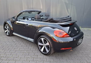Volkswagen Beetle Volkswagen Beetle Cabriolet 1.2 TSI Design LED / NAVI / STOELV. - afbeelding nr 4